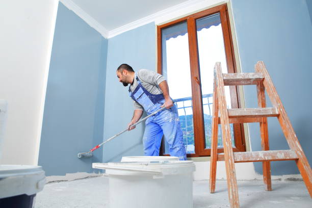 Best Emergency Mold Remediation  in Stockbridge, MI