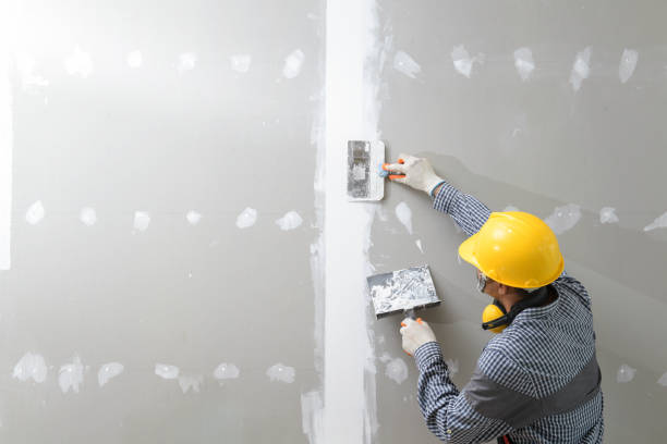 Best Mold Prevention Services  in Stockbridge, MI
