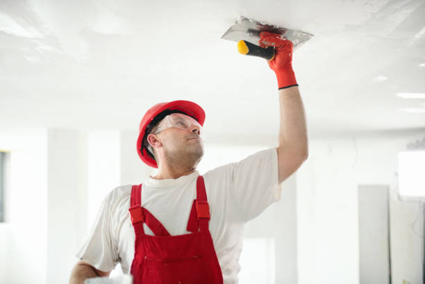 Best Post-Construction Mold Inspection  in Stockbridge, MI