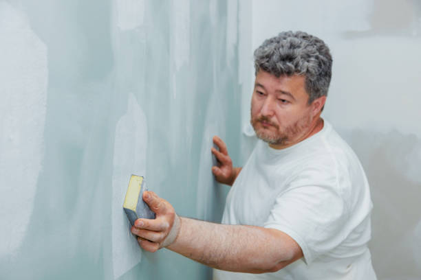Best Asbestos and Lead Testing During Mold Inspection  in Stockbridge, MI