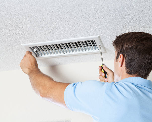 Best HVAC Mold Inspection and Cleaning  in Stockbridge, MI